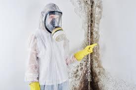 Best Industrial Mold Remediation in Unalaska, AK